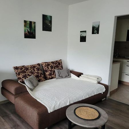 Ferienwohnung Hilde Bad Peterstal-Griesbach Ngoại thất bức ảnh